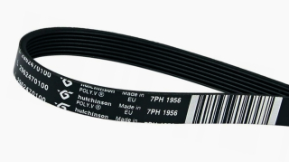 Řemen 7PH 1956 do sušičky Beko, Whirlpool, Indesit, Gorenje, Bosch - 2962470100
